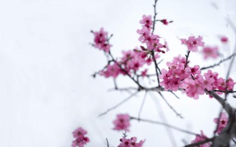 图片 _ 第(4)张