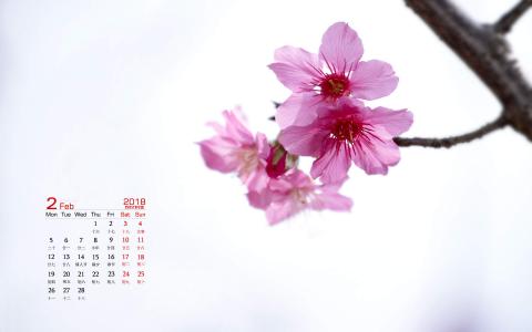 图片 _ 第(3)张