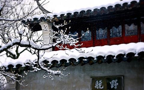 冬日雪景图片 _ 第(3)张