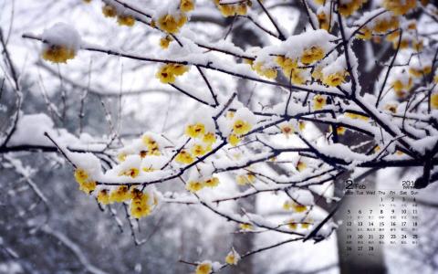 冬日雪景图片 _ 第(1)张