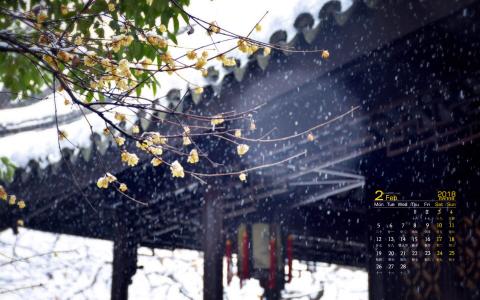 冬日雪景图片 _ 第(5)张
