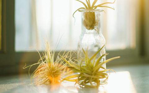 清新桌面图片 _ 第(6)张