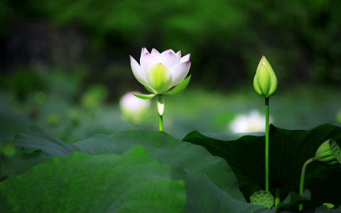 图片 _ 第(3)张