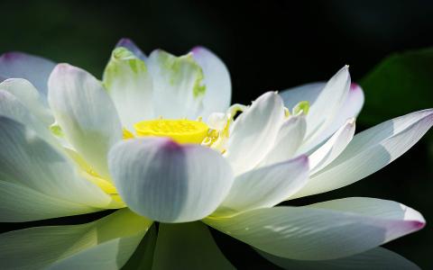 图片 _ 第(4)张