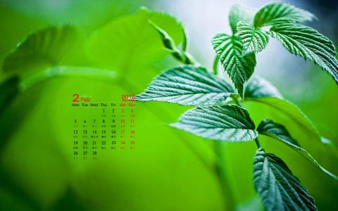 可爱的小雏菊小清新桌面壁纸第4张