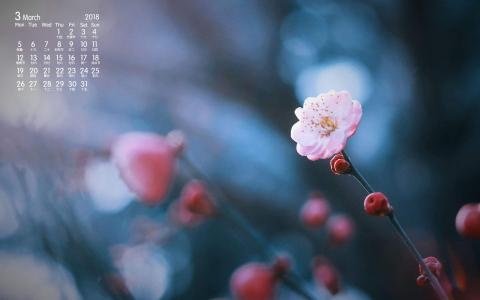 第1张