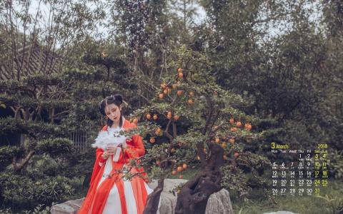 图片 _ 第(5)张