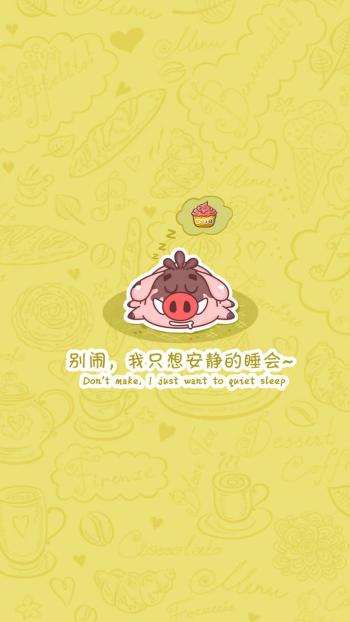 第3张