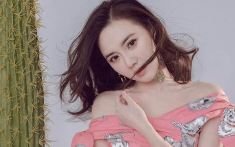 江铠同图片 _ 第(4)张