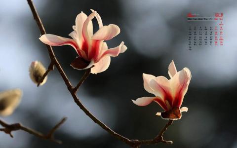 图片 _ 第(4)张