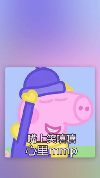 第3张