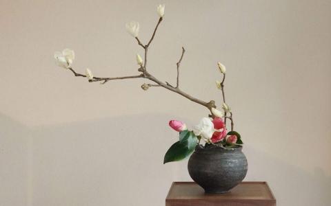 简约小清新植物盆栽高清电脑桌面壁纸图片大全第5张