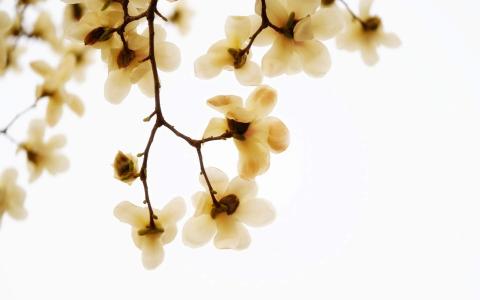 图片 _ 第(4)张