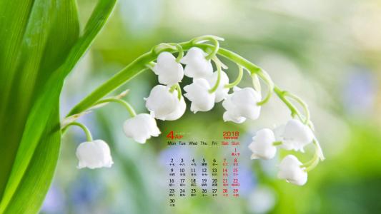 可爱的小雏菊小清新桌面壁纸第4张