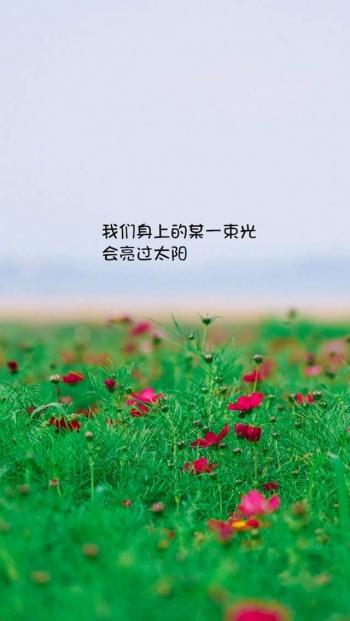 唯美文字心情图片高清手机壁纸第2张
