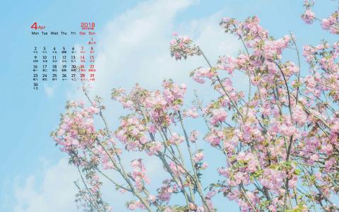 2018年4月樱花日历图片桌面壁纸第0张