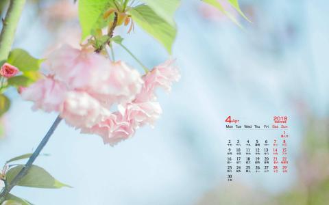 2018年4月樱花日历图片桌面壁纸第3张