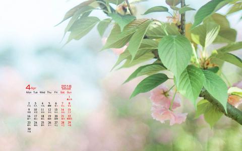 2018年4月樱花日历图片桌面壁纸第4张