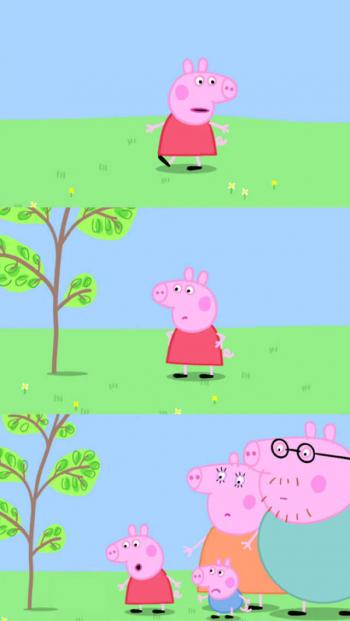 第0张