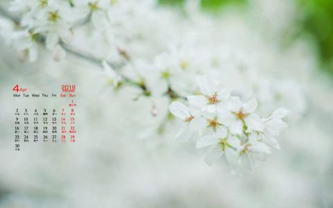 2018年4月唯美樱花摄影图片日历壁纸第1张