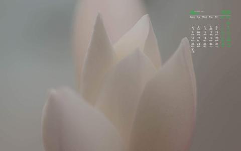 图片 _ 第(4)张