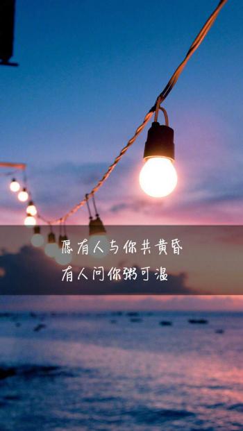 第0张
