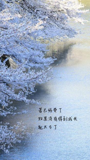 精选伤感文字唯美意境手机壁纸下载第3张