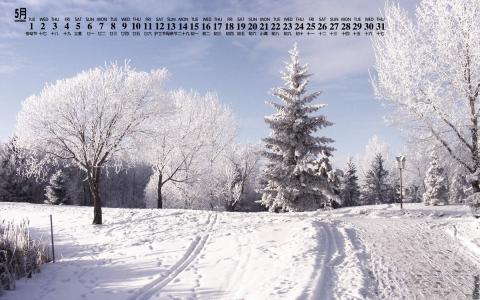 雪景图片 _ 第(6)张