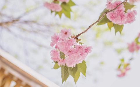 第3张