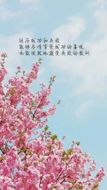 自勉励志文字图片高清手机壁纸第0张