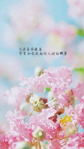 自勉励志文字图片高清手机壁纸第4张