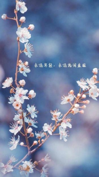 自勉励志文字图片高清手机壁纸第5张