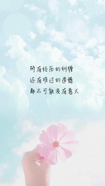 第1张