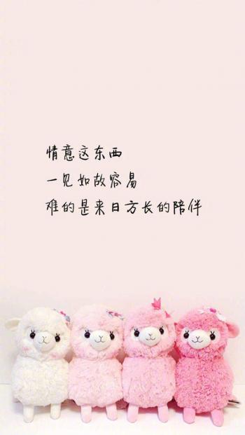 唯美心情语录高清手机壁纸图片第0张