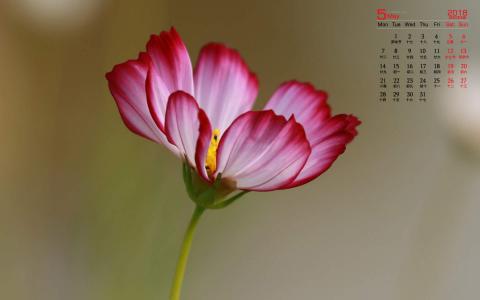 图片 _ 第(1)张