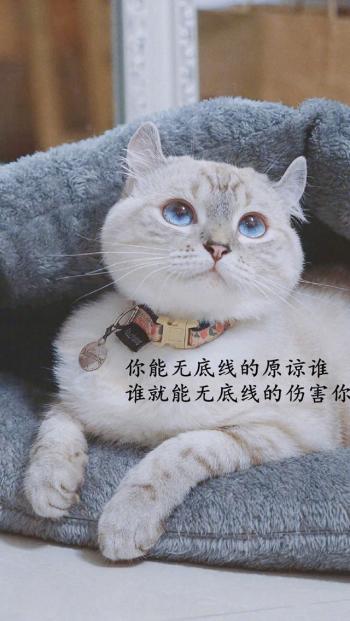 唯美伤感励志的文字图片手机壁纸下载第5张
