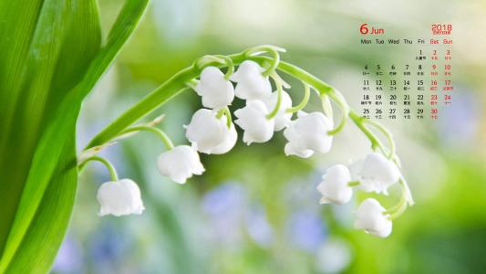 图片 _ 第(4)张