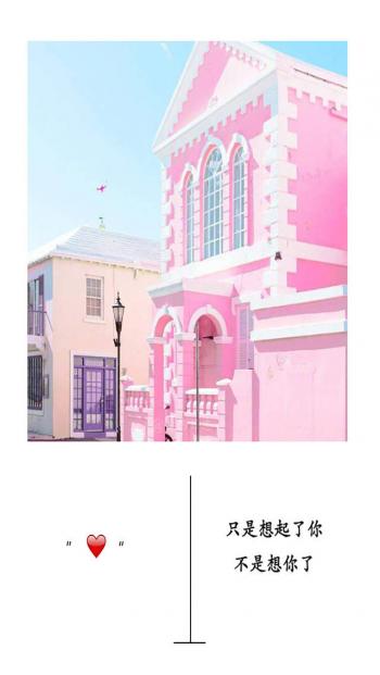 第3张