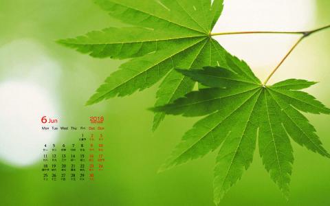 清新桌面图片 _ 第(4)张