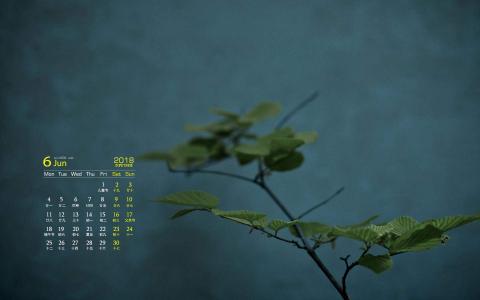 清新桌面图片 _ 第(5)张