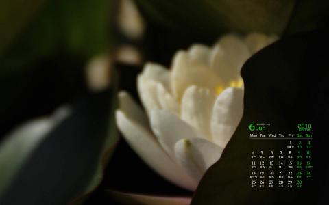 图片 _ 第(4)张