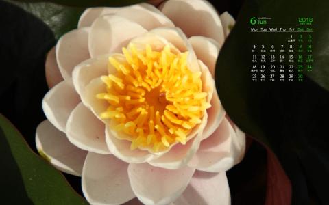图片 _ 第(5)张