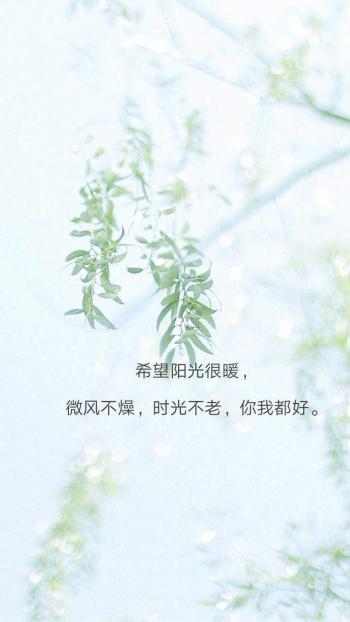 伤感文字语录图片手机壁纸第2张