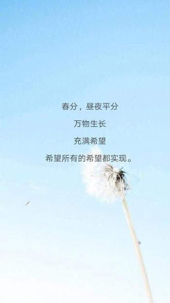 伤感文字语录图片手机壁纸第3张