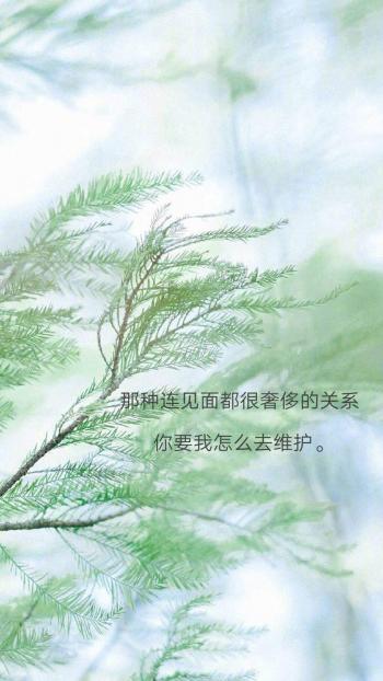 伤感文字语录图片手机壁纸第6张