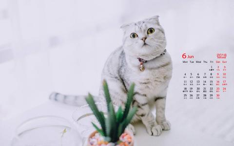 萌动物图片 _ 第(9)张
