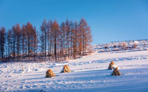 雪景图片 _ 第(2)张
