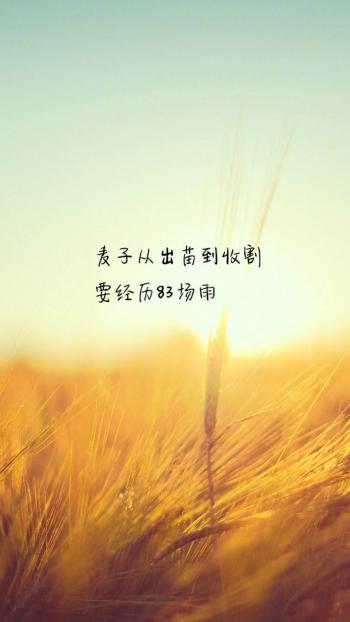 创意红色励志文字高清手机壁纸第4张