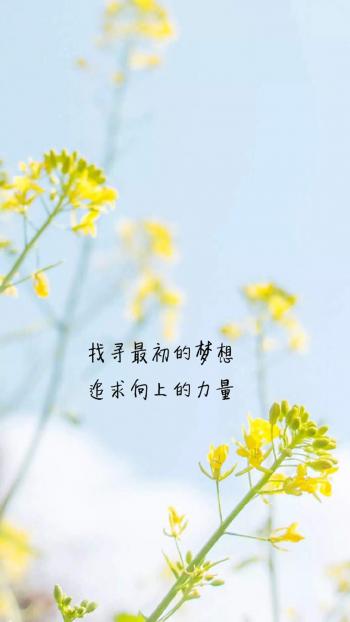 创意红色励志文字高清手机壁纸第6张