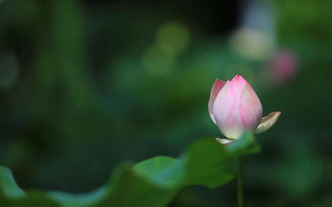图片 _ 第(4)张